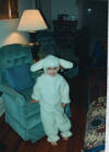 Audrey Sheep