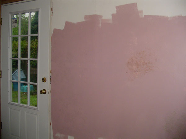 paint-failure-2.jpg