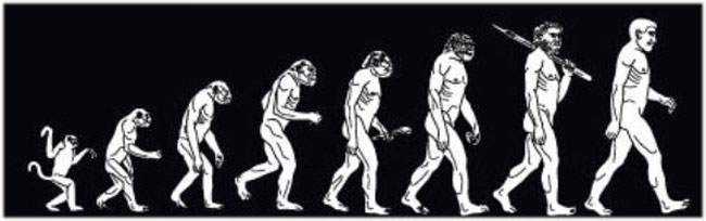 evolution.jpg